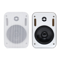 Настінна акустика SKY SOUND PM-2401W/TW